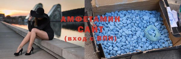 индика Костерёво