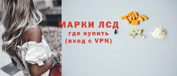 индика Костерёво