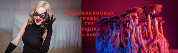 Альфа ПВП Пролетарск