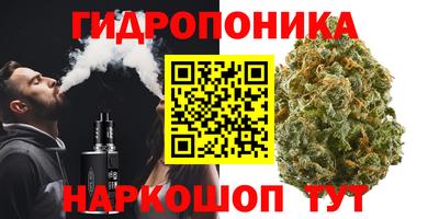 ALPHA PVP Дубна