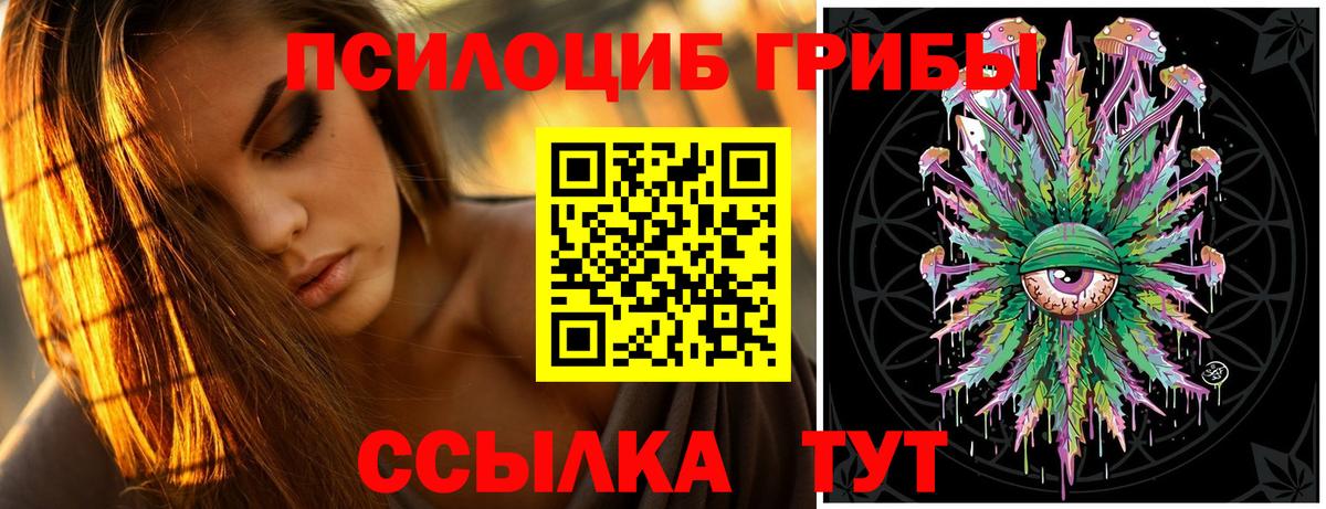 Псилоцибиновые грибы ЛСД Курчатов