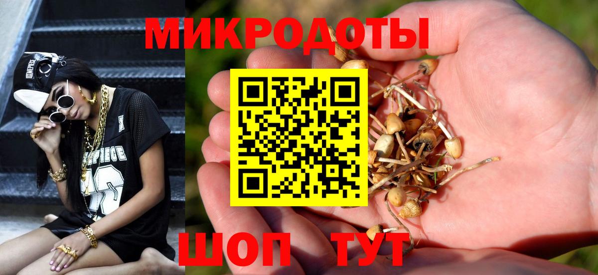 Курчатов  Галлюциногенные грибы Psilocybe  Вход с VPN 